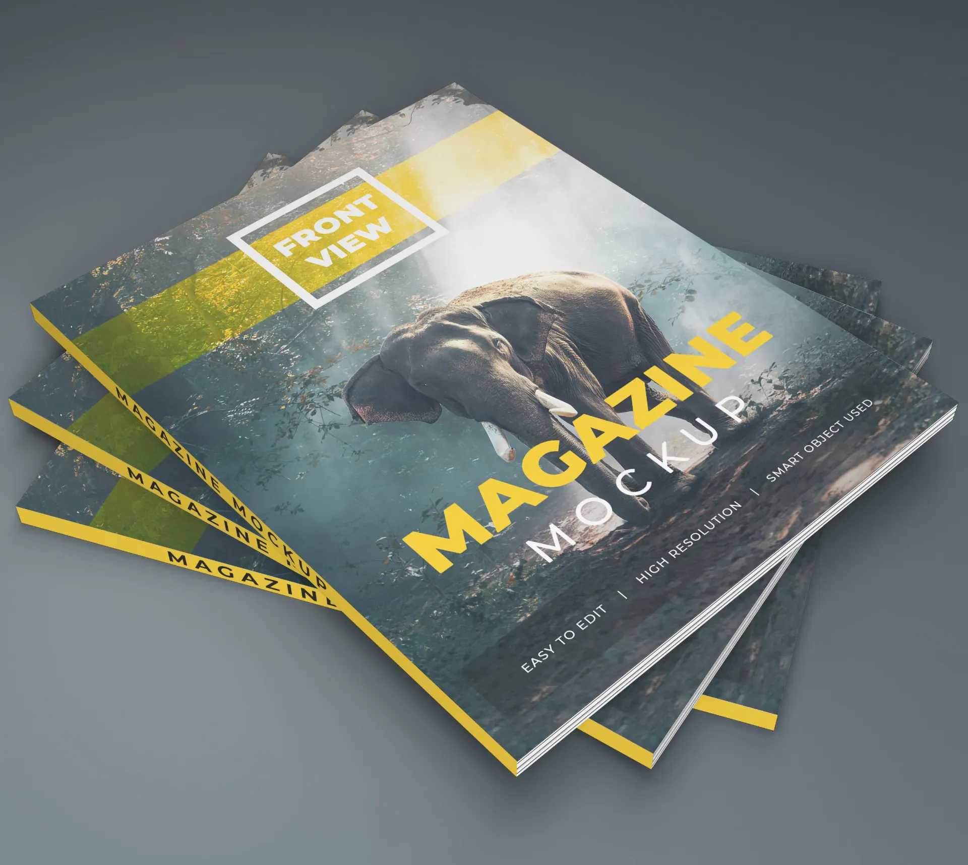 [PID00100] Revistas